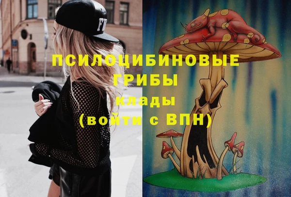 ГАЛЛЮЦИНОГЕННЫЕ ГРИБЫ Лабытнанги